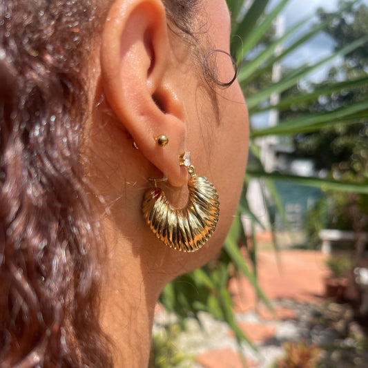 Close-up of an ear wearing a gold earring with a blurred outdoor background